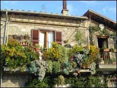 sady0142