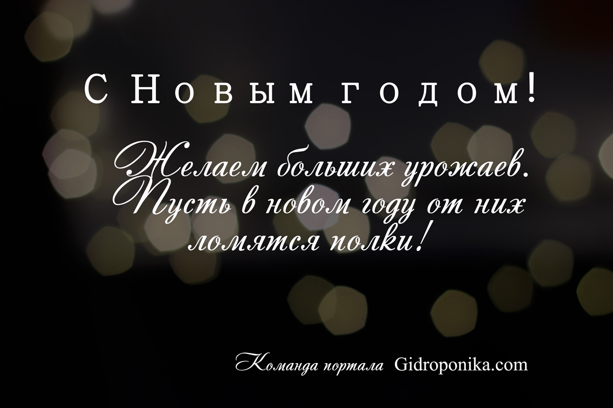 C Новым годом!