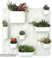 Vertical Garden