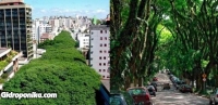 Тоннель