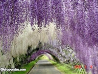 Тоннель