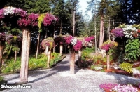 Glacier Gardens