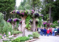 Glacier Gardens