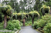 Glacier Gardens