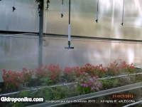 Конференция «Agro-Business 2013»