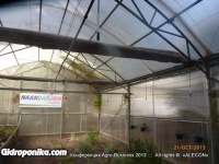 Конференция «Agro-Business 2013»