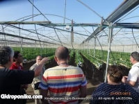 Конференция «Agro-Business 2013»