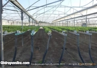 Конференция «Agro-Business 2013»