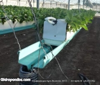 Конференция «Agro-Business 2013»