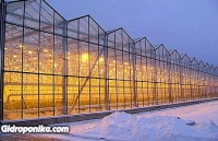 Теплицы