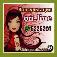 on-line консультация по гидропонике