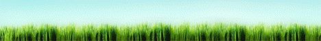 AgroMarketPenza - интернет-магазин гидропоники